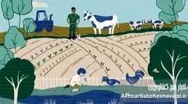 از انقلاب سبز تا امنیت غذایی: معرفی جامع سیستم‌های کشاورزی پایدار