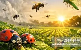 ارتش نامرئی در مزارع؛ چرا حشرات شکارچی جایگزین سموم شیمیایی می‌شوند؟