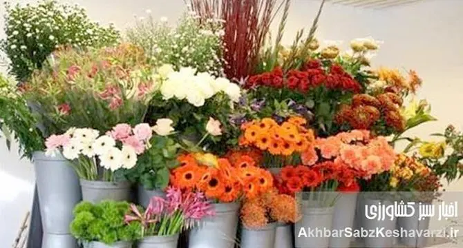 اولویت نخست اتحادیه تولید کنندگان گل و گیاه ایران: توسعه صادرات و بازیابی بازارهای جهانی