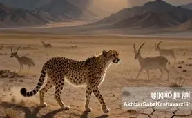 ​فراتر از یک تقویم؛ نجوای بقا در فلات ایران

