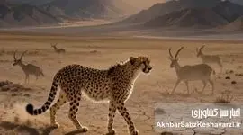 ​فراتر از یک تقویم؛ نجوای بقا در فلات ایران

