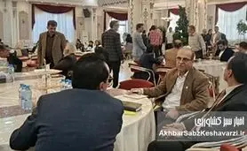 بازار افغانستان، فرصت تازه برای گسترش محصولات کیمیای سبز رفسنجان