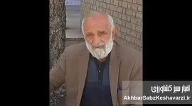 صلاحی‌ها؛ چشم و چراغ صنعت زنبورداری ایران