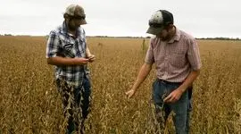 وضعیت کشاورزی ایالات متحده با محدود کردن اختیارات تعرفه‌ای