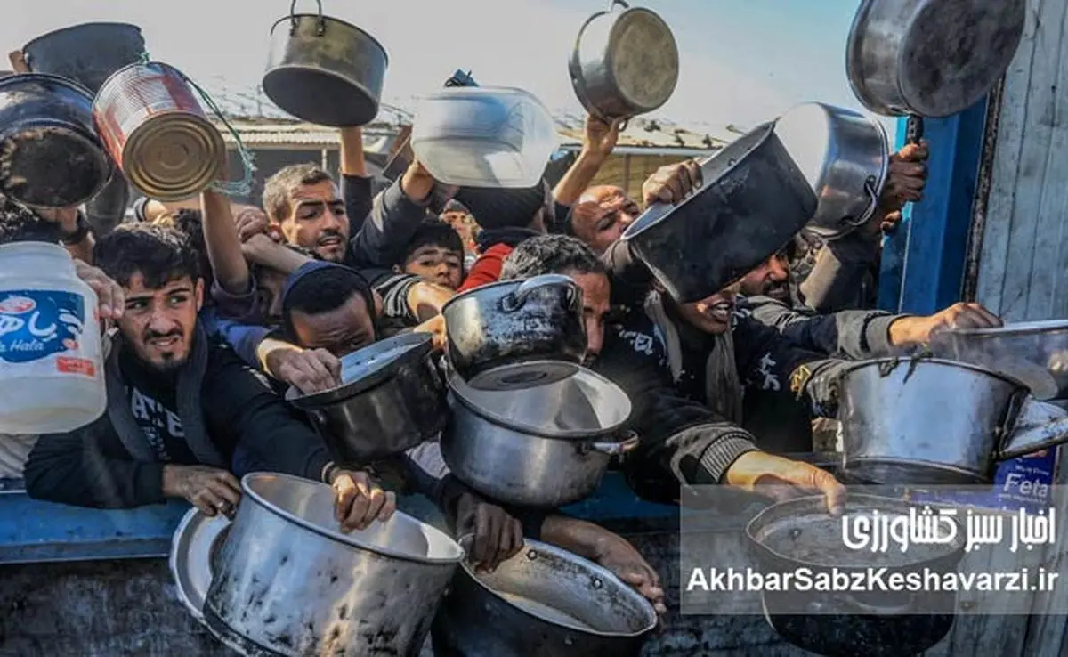 غزه و تراژدی یک وعده غذایی: مرگ در صف نان!