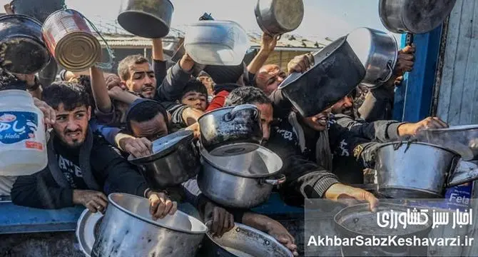غزه و تراژدی یک وعده غذایی: مرگ در صف نان!