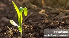 چرا «خاک سالم» یعنی «شهر سالم»؟ روایت روز جهانی خاک+ ویدئو