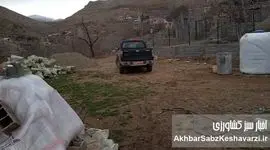 آماده‌باش کامل یگان‌های حفاظت لرستان برای صیانت از اراضی کشاورزی در نوروز ۱۴۰۵