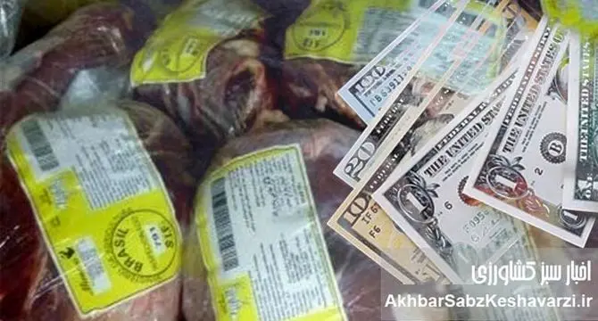 ارز حرام شده برای واردات گوشت را به تولید کننده بدهید+ویدئو