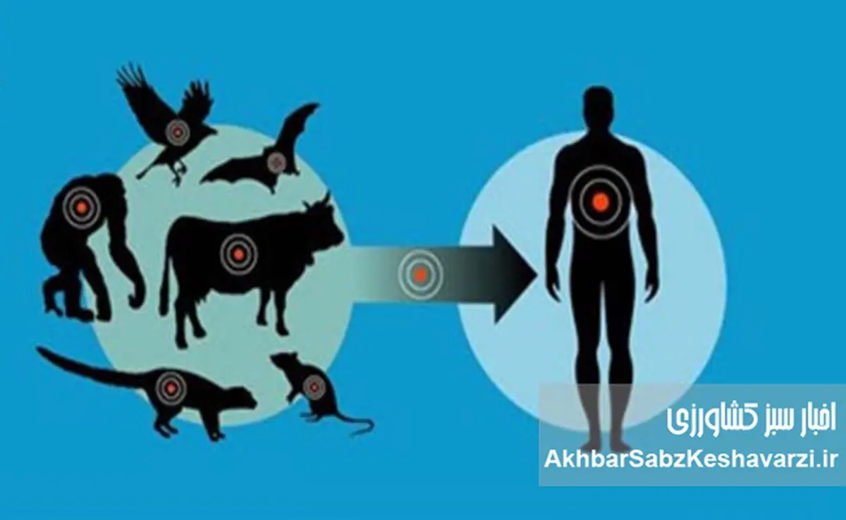 چرا همه‌گیری بعدی اتفاقی نیست؟