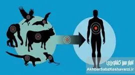 چرا همه‌گیری بعدی اتفاقی نیست؟