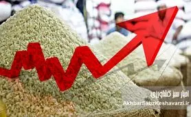 افزایش قیمت برنج ایرانی؛ چرا وعده‌های وزیر محقق نشد؟ +جدول جدید قیمت‌ها