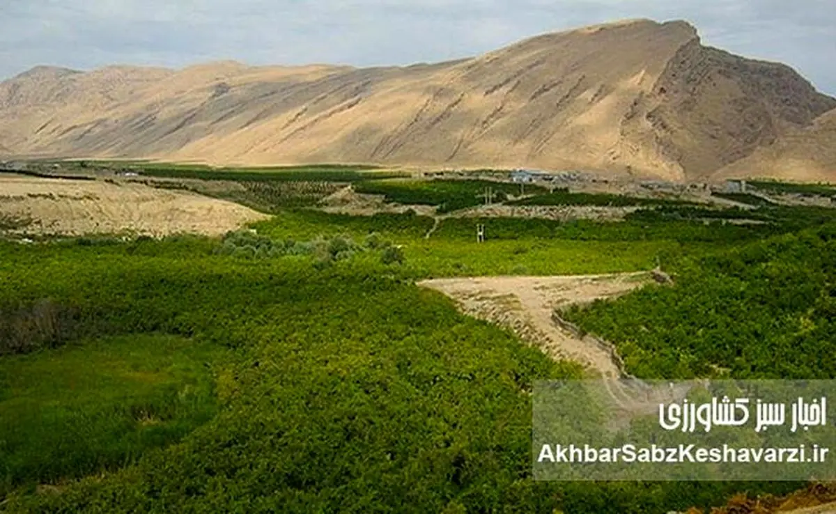 «زمینهای دماوند و شمیرانات»: حراج بیتالمال یا اشتباه قضایی؟