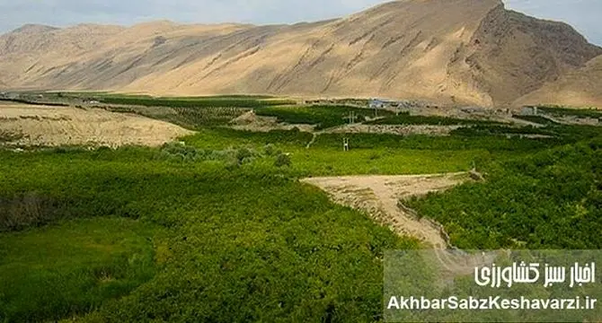 «زمین‌های دماوند و شمیرانات»: حراج بیت‌المال یا اشتباه قضایی؟