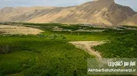 «زمین‌های دماوند و شمیرانات»: حراج بیت‌المال یا اشتباه قضایی؟