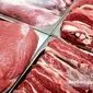قیمت واقعی گوشت‌های وارداتی اعلام شد | منبع اصلی واردات ایران کجاست؟