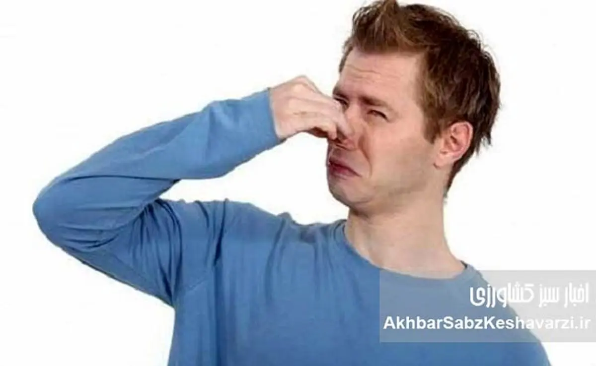 ۴ گروه غذایی که باعث بوی بدن میشوند+ راهکارهای خنثیسازی