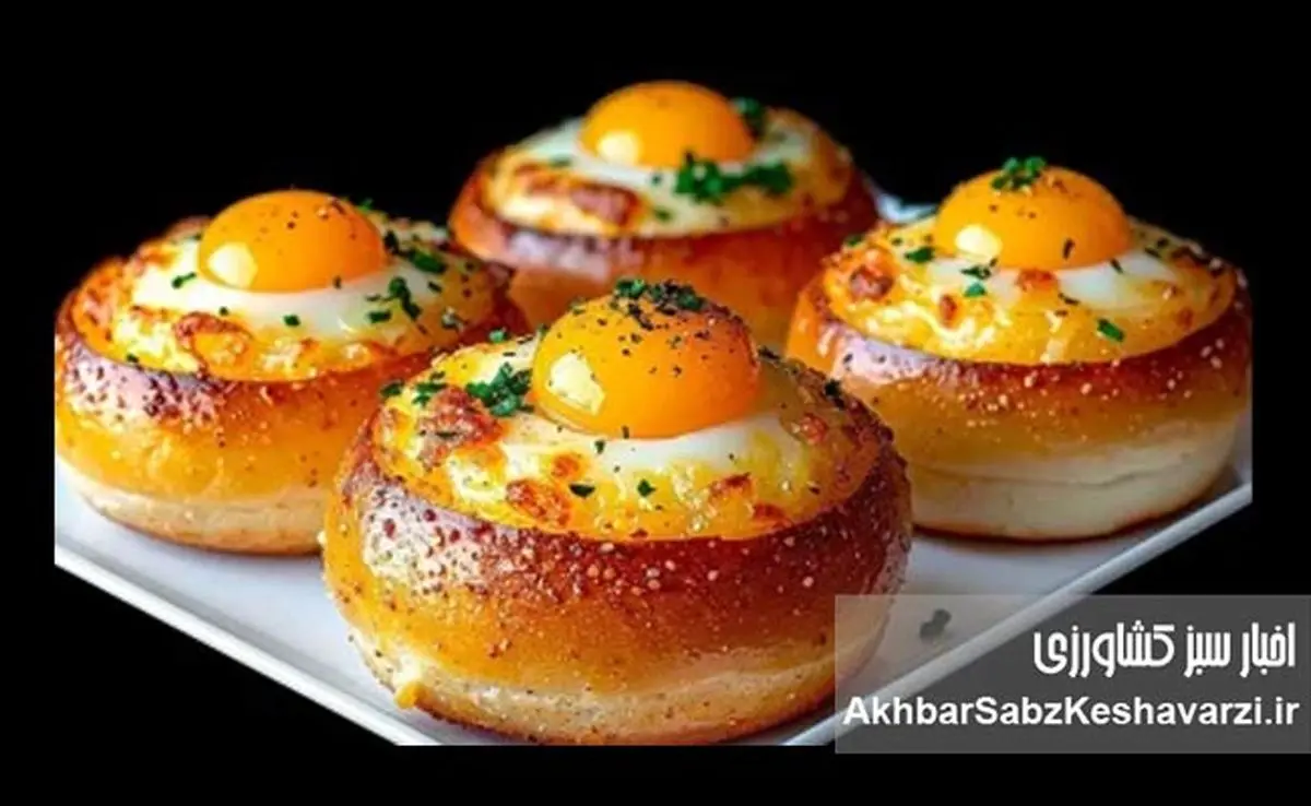 ۵ صبحانه مقوی با تخم‌مرغ؛ وقتی یک ماده ساده، نجات‌بخش صبح‌ها می‌شود+جزئیات