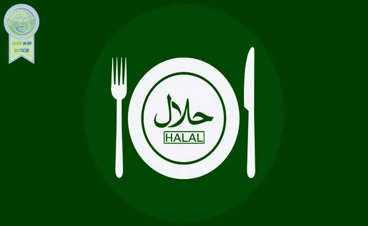 ایران از پتانسیل بالایی برای گردشگری حلال برخوردار است