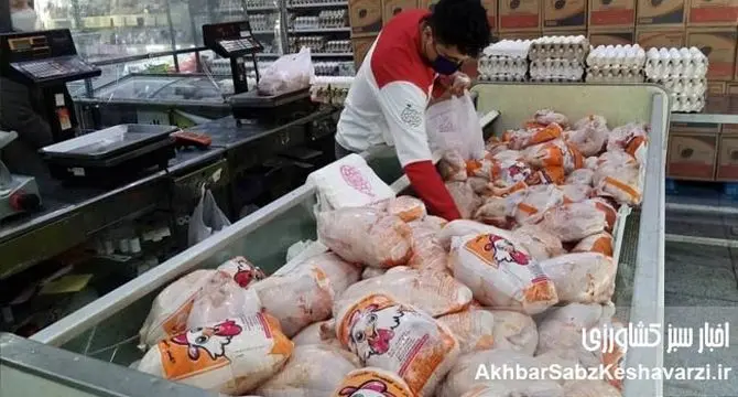 گرانی قیمت ها در بازار گوشت مرغ؛چسبندگی قیمت ها ادامه دارد