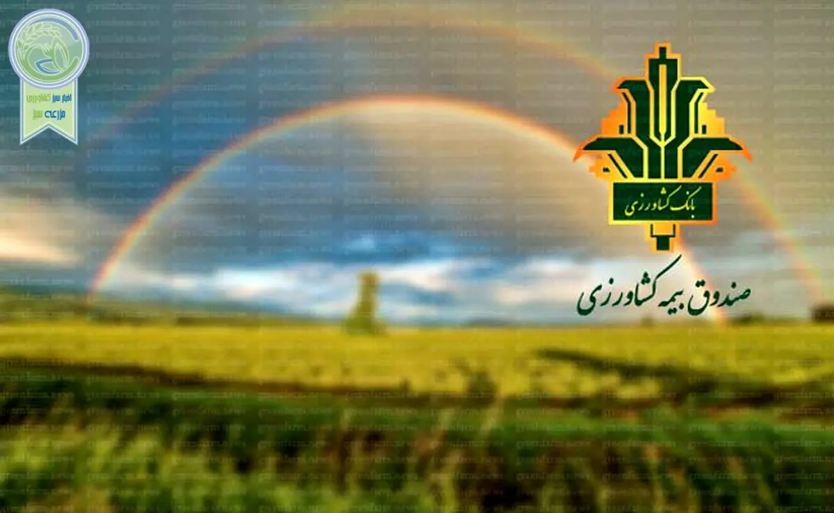تقویت صندوق بیمه محصولات کشاورزی برای حمایت بیشتر از کشاورزان