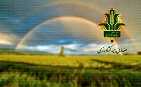 تقویت صندوق بیمه محصولات کشاورزی برای حمایت بیشتر از کشاورزان