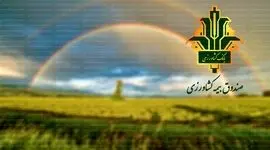 تقویت صندوق بیمه محصولات کشاورزی برای حمایت بیشتر از کشاورزان
