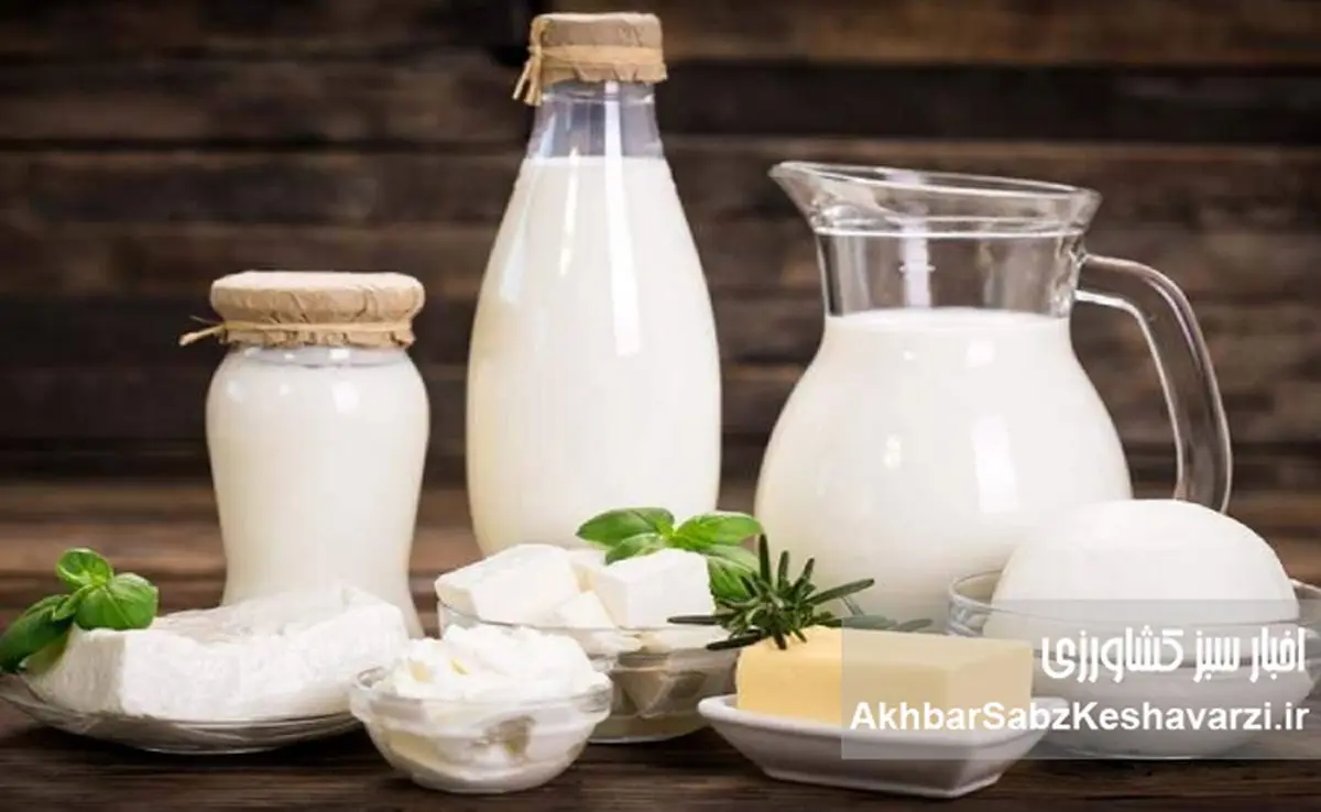 لبنیات؛ حذف آرام یک ضرورت از سفره ایرانی