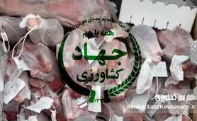 ۴ میلیون یورو پرکشید؛ رسوایی هدررفت ارز ترجیحی و مطالبه پاسخگویی