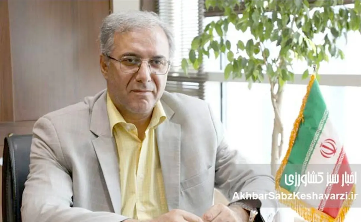 توانمندسازی روانی و سازمانی کارکنان در دوران گذار پس از بحران: رویکردی برای حفظ انگیزه و خلق فرصت