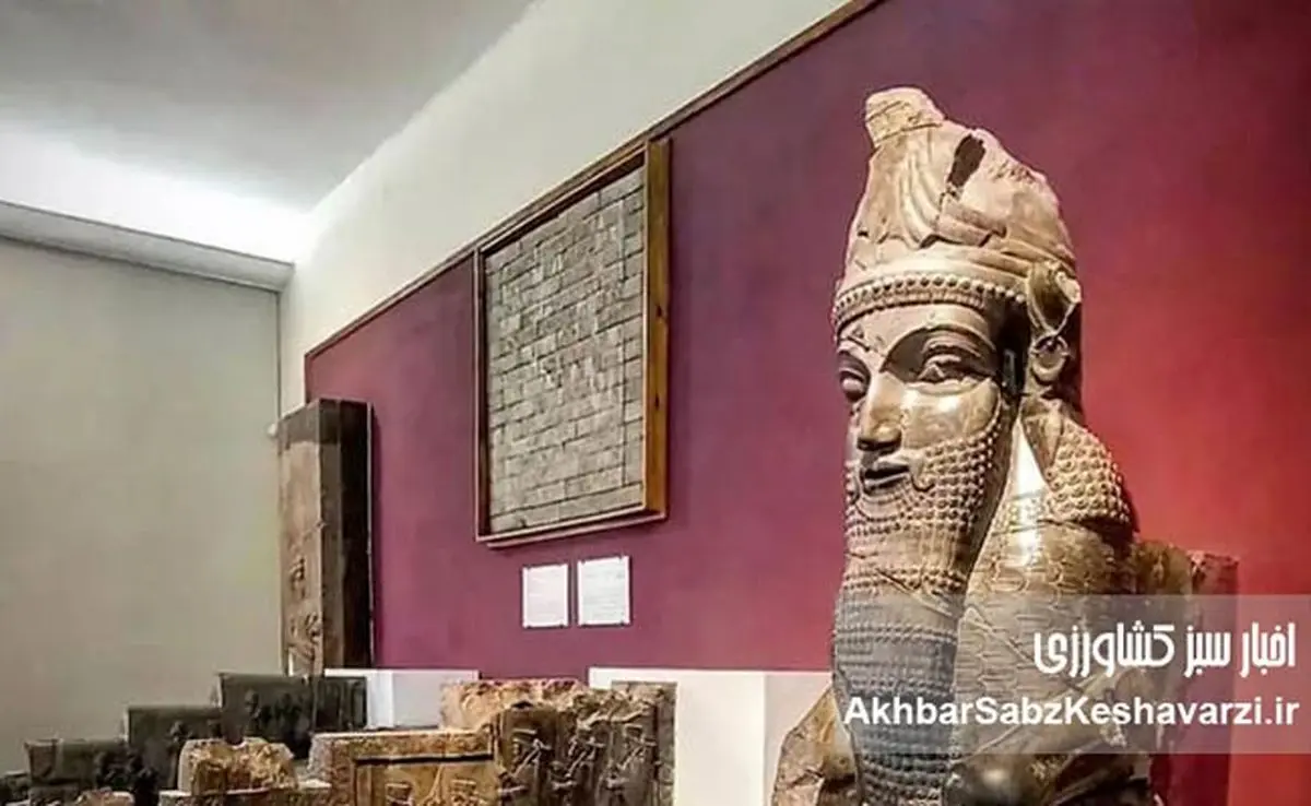 وقتی درهای موزه‌ها بسته شد؛ جامعه بی‌پناه ماند