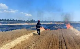 کمک‌ها و متخصصان ساسکاچوان به بازسازی کشاورزی اوکراین