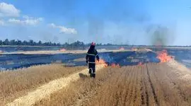 کمک‌ها و متخصصان ساسکاچوان به بازسازی کشاورزی اوکراین