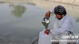 حقابه هیرمند؛ بحران آب و راهکارهای ایران در برابر چالش‌های اقلیمی