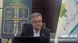 آغاز سال دوم اجرای «طرح بیمه فراگیر گندم»؛ گزارش دکتر شمس‌زاده از عملکرد سال نخست