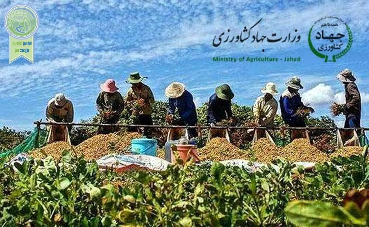 تعاونی‌ها چشم انتظار حمایت آقای وزیر

