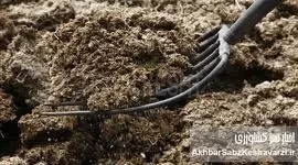 کمبود و گرانی کود شیمیایی؛ بحرانی که کشت پاییزه را به خطر انداخته است!