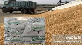 خوش رقصی مافیا در بازار نهاده‌های دامی و قصه پرغصه جو!