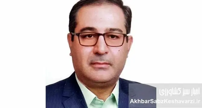 علی(ع) و عدالت؛ چرا نام امام علی همیشه با انصاف گره خورده است؟