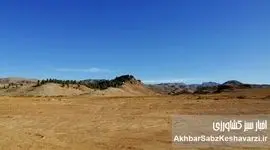 ​نقش مهندسان، متخصصان و اساتید ایرانی در فاجعه‌های امروز آبی و محیط‌زیستی