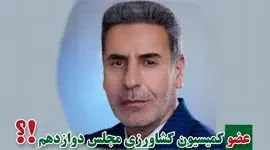 هوشنگ هادیان‌پور نماینده مردم شازند شد

