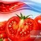 گوجه‌فرنگی چگونه فشار خون را پایین می‌آورد؟ یافته‌های تازه