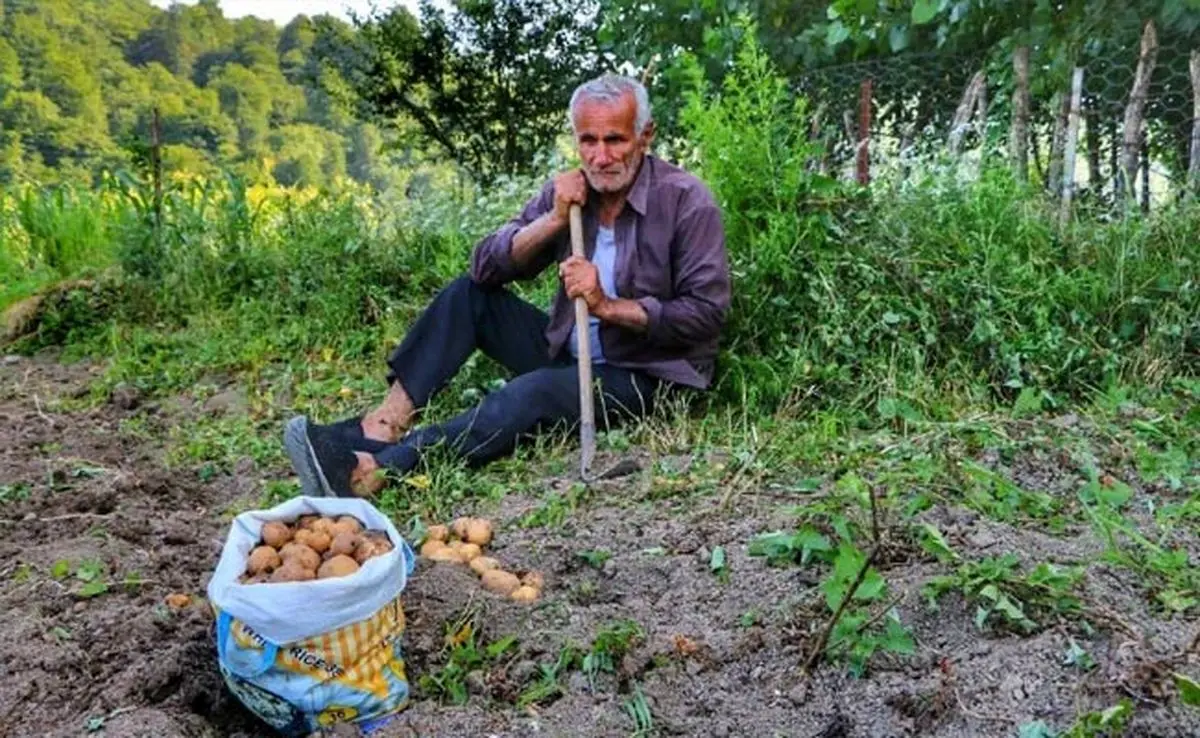 کشاورزان ایرانی نه تنها یارانه نمی‌گیرند بلکه یارانه هم می‌دهند

