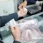 ​از گوشت ۲ میلیونی تا سفره‌های خالی: سیاست‌های نادرست سیگنال گرانی برای بازار گوشت