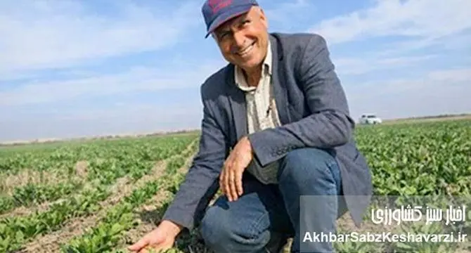 وقتی شهر نفس می‌کشد؛ چگونه درختان دما را به‌طور طبیعی کاهش می‌دهند