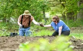 کشاورزی جوانان و باغ‌های اجتماعی در بمیجی