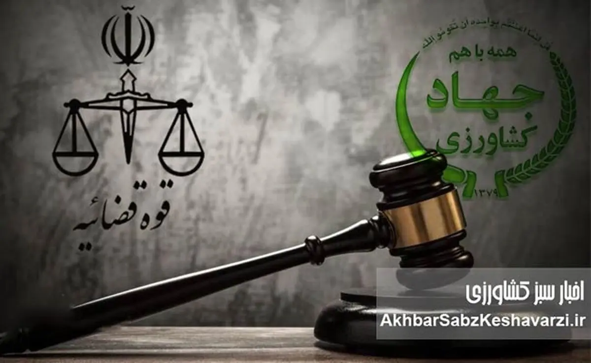 ورود قوه قضاییه به گرانی ارز؛ پرونده‌سازی برای ترک فعل‌ها آغاز شد