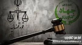 ورود قوه قضاییه به گرانی ارز؛ پرونده‌سازی برای ترک فعل‌ها آغاز شد