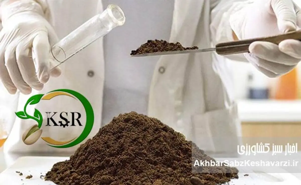 آزمایشگاه تخصصی کیمیای سبز رفسنجان، راهی نو برای افزایش بهرهوری