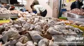 بحران قیمت‌گذاری: مرغ ۱۶۵ هزار تومانی در بازار
